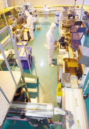 徐州民營經(jīng)濟集群發(fā)展 以管理創(chuàng)新驅(qū)動轉(zhuǎn)型升級